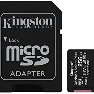 Trans Flash 256 GB Canvas Select Plus (SDCS2/256GB) CLASS 10
