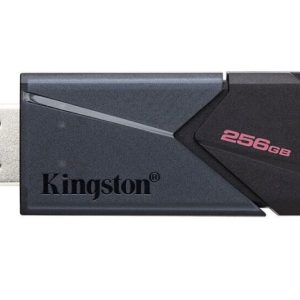 Pen Drive 256GB Datatraveler Exodia ONYX USB 3.2 GEN1 (DTXON/256GB)