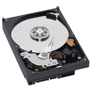 WD Memoria di Archiviazione HD Blue 1 TB SATA3 3.5" WD10EZEX